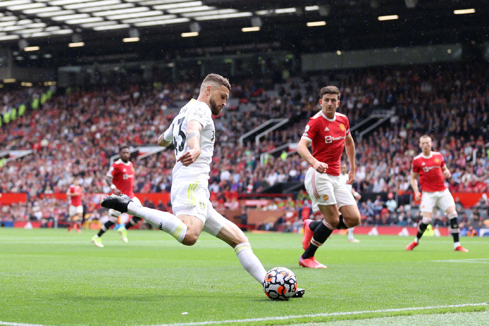 不仅彰显出 不仅彰显出