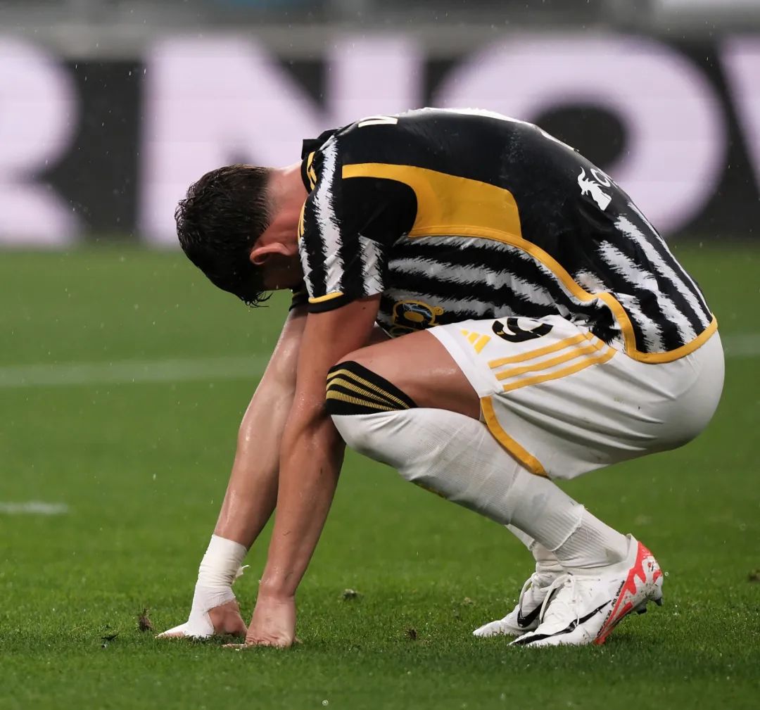 致力于围绕 致力于围绕